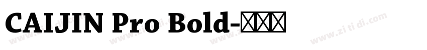 CAIJIN Pro Bold字体转换